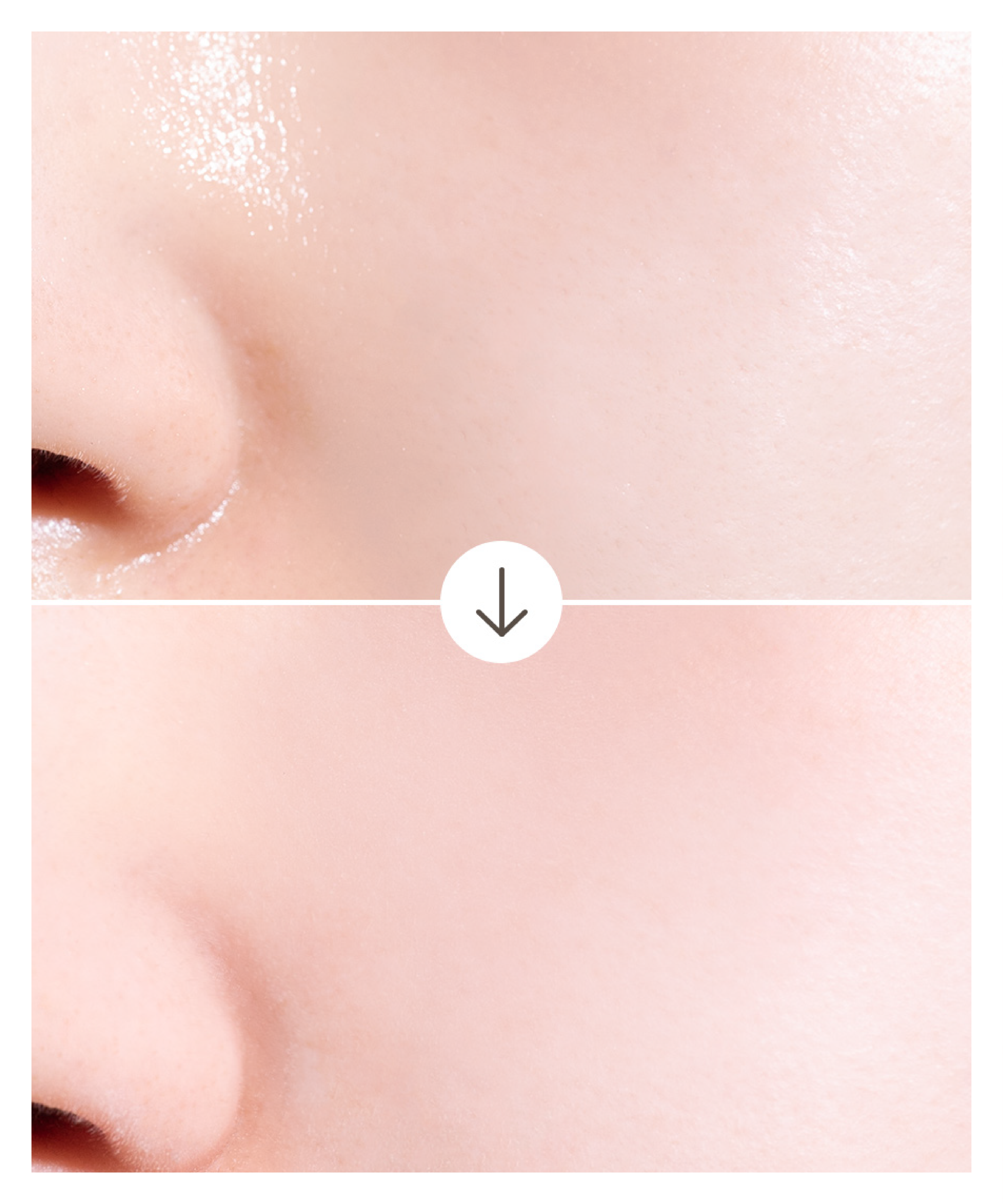 Prime Primer Finish Powder